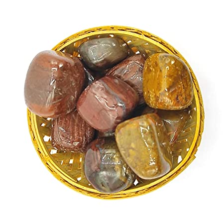 Petrified Wood Tumblestone Plus