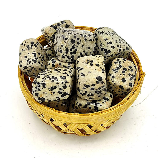 Dalmatian Jasper Tumblestone Plus